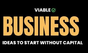 VIABLE BUSINESS IDEAS TO START WITHOUT CAPITAL